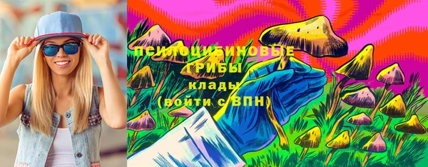 дживик Алзамай