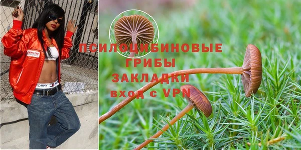 дмт Алексин
