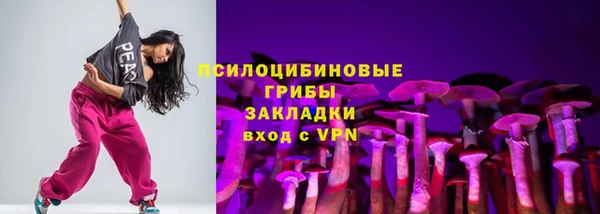 МДПВ Алексеевка