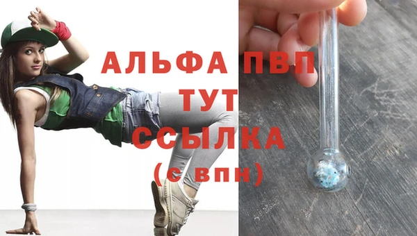 дмт Алексин