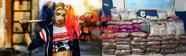 дмт Алексин