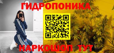 шишки Ликино-Дулёво