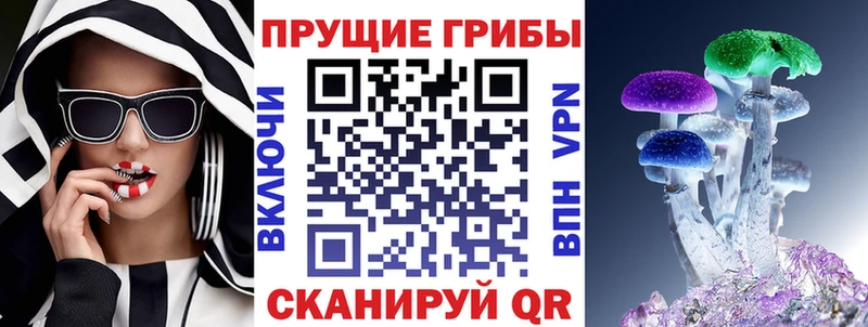 дарк нет состав Карачаевск Галлюциногенные грибы GOLDEN TEACHER дарнет шоп
