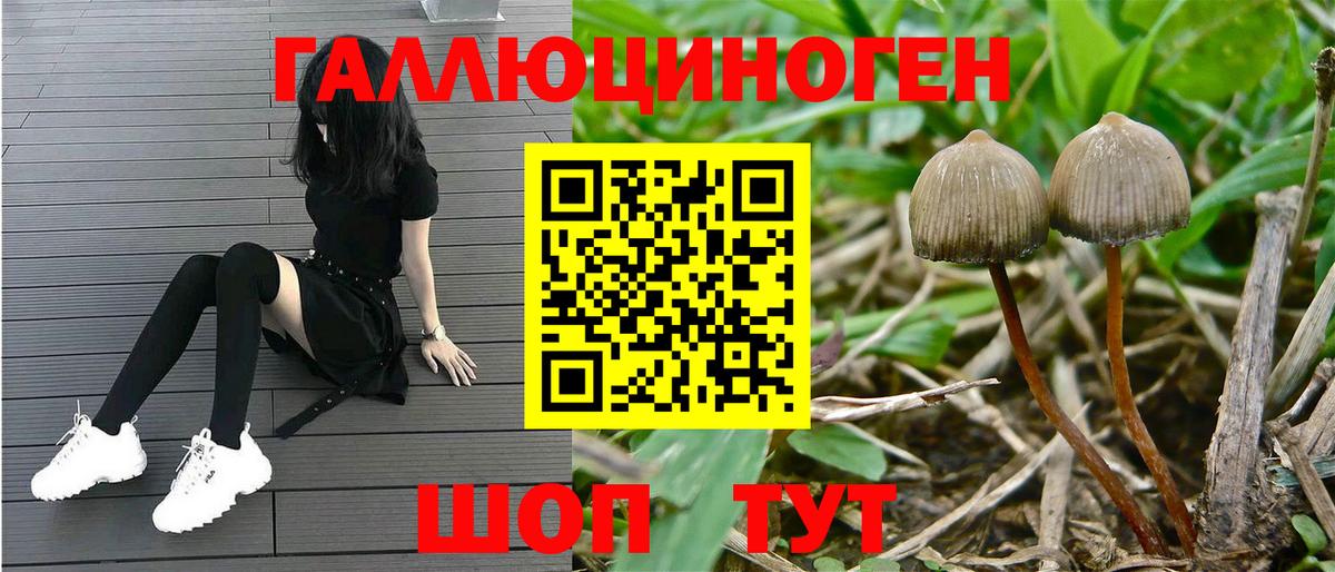 Галлюциногенные грибы Magic Shrooms  Галлюциногенные грибы Psilocybine cubensis  Карачаевск  Вход с VPN 